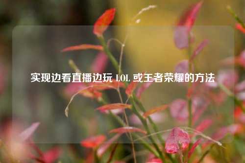 实现边看直播边玩 LOL 或王者荣耀的方法