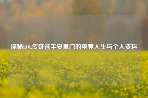 探秘LOL传奇选手安掌门的电竞人生与个人资料