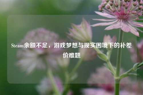 Steam余额不足,游戏梦想与现实困境下的补差价难题