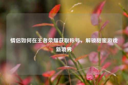 情侣如何在王者荣耀获取称号,解锁甜蜜游戏新境界