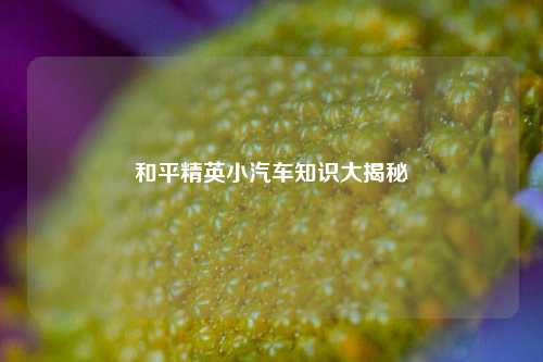 和平精英小汽车知识大揭秘