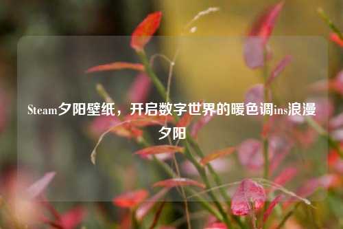 Steam夕阳壁纸,开启数字世界的暖色调ins浪漫夕阳