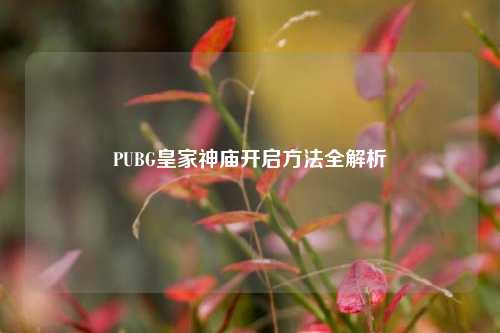 PUBG皇家神庙开启方法全解析
