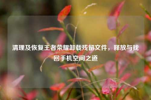 清理及恢复王者荣耀卸载残留文件，释放与找回手机空间之道