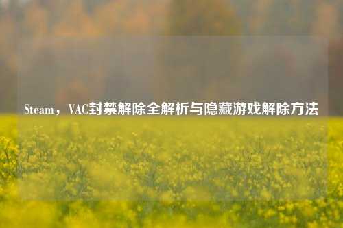 Steam,VAC封禁解除全解析与隐藏游戏解除方法