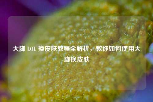 大脚 LOL 换皮肤教程全解析,教你如何使用大脚换皮肤