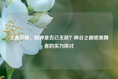 王者荣耀,貂蝉是否已无敌?峡谷之巅绝美舞者的实力探讨