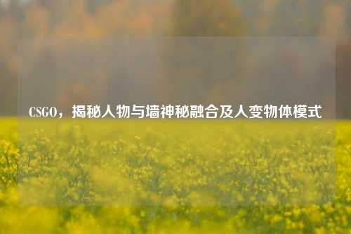 CSGO,揭秘人物与墙神秘融合及人变物体模式
