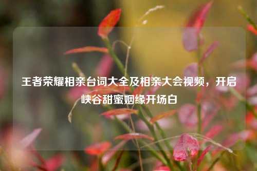 王者荣耀相亲台词大全及相亲大会视频,开启峡谷甜蜜姻缘开场白