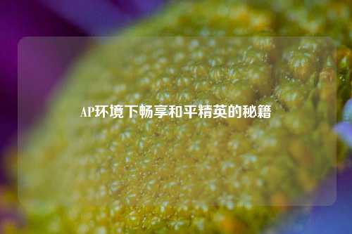 AP环境下畅享和平精英的秘籍