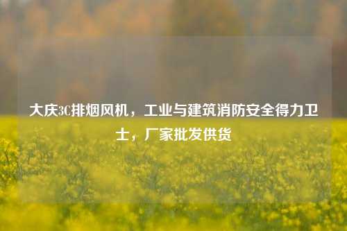 大庆3C排烟风机,工业与建筑消防安全得力卫士,厂家批发供货