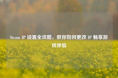 Steam IP 设置全攻略,教你如何更改 IP 畅享游戏体验