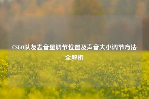 CSGO队友麦音量调节位置及声音大小调节方法全解析