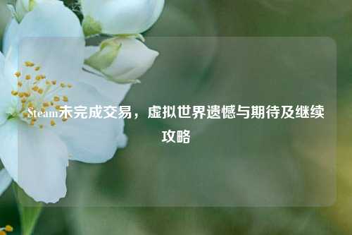 Steam未完成交易,虚拟世界遗憾与期待及继续攻略