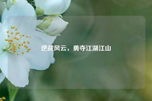 逆战风云,勇夺江湖江山
