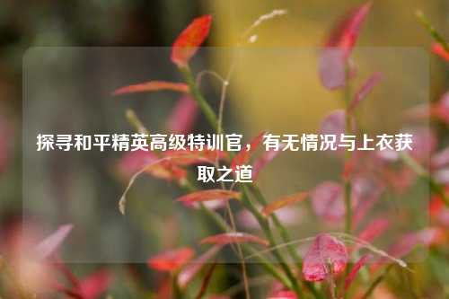 探寻和平精英高级特训官，有无情况与上衣获取之道