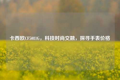 卡西欧CF5081G,科技时尚交融,探寻手表价格