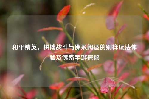 和平精英，拼搏战斗与佛系闲适的别样玩法体验及佛系手游探秘
