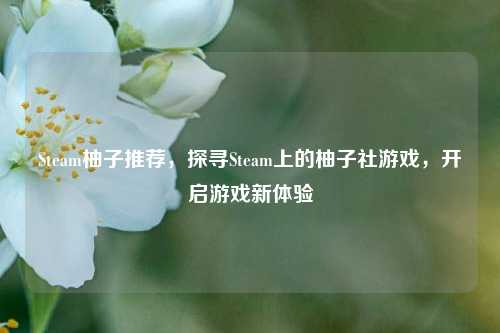 Steam柚子推荐,探寻Steam上的柚子社游戏,开启游戏新体验