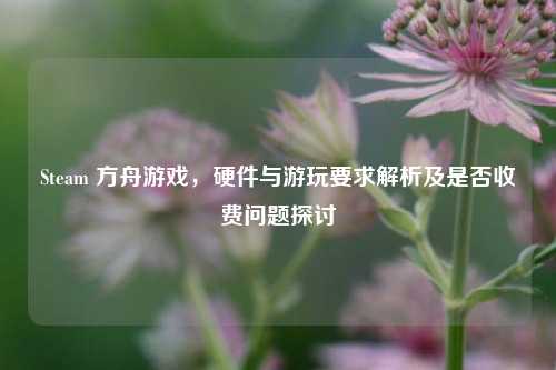 Steam 方舟游戏,硬件与游玩要求解析及是否收费问题探讨