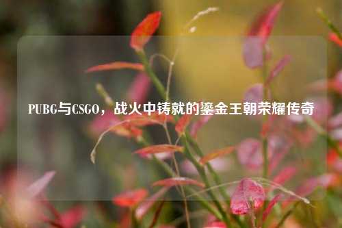 PUBG与CSGO，战火中铸就的鎏金王朝荣耀传奇