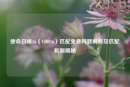 使命召唤16(COD16)匹配免费问题解析及匹配机制揭秘