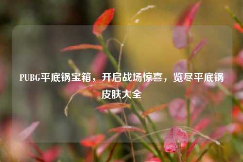 PUBG平底锅宝箱,开启战场惊喜,览尽平底锅皮肤大全
