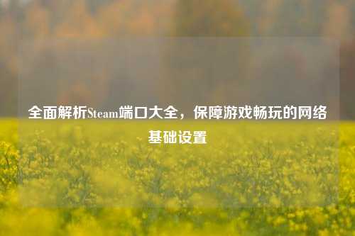 全面解析Steam端口大全,保障游戏畅玩的网络基础设置