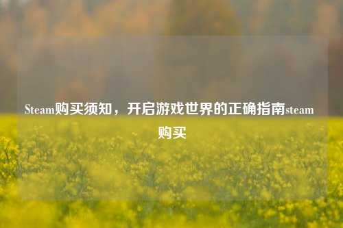Steam购买须知,开启游戏世界的正确指南steam 购买