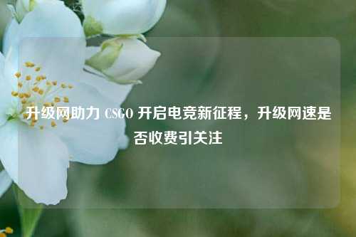 升级网助力 CSGO 开启电竞新征程，升级网速是否收费引关注
