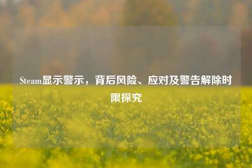 Steam显示警示,背后风险、应对及警告解除时限探究