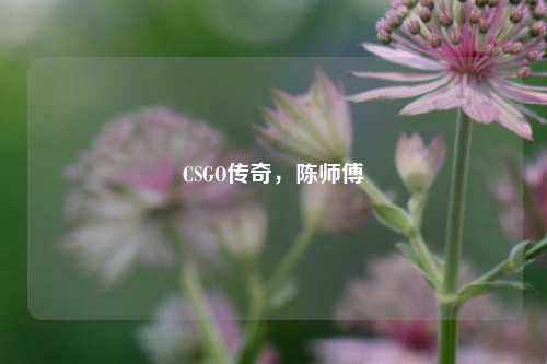 CSGO传奇,陈师傅