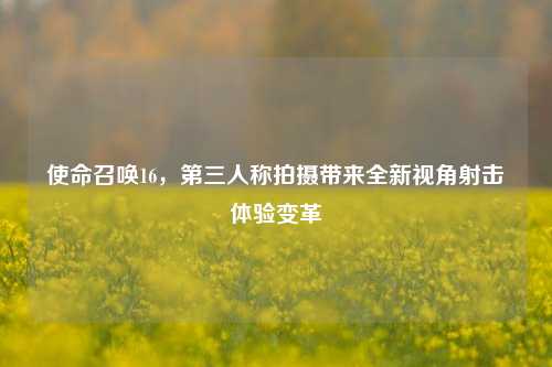 使命召唤16,第三人称拍摄带来全新视角射击体验变革