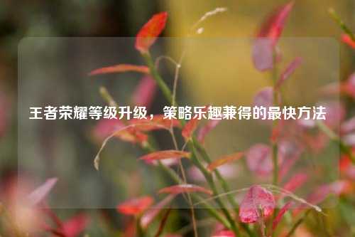 王者荣耀等级升级,策略乐趣兼得的最快方法