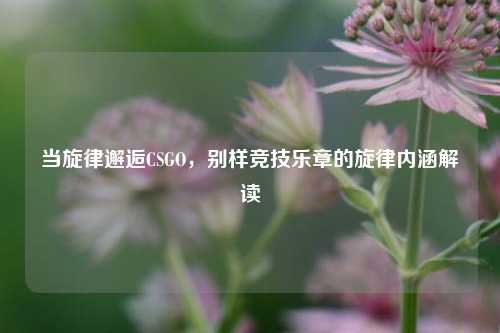 当旋律邂逅CSGO，别样竞技乐章的旋律内涵解读