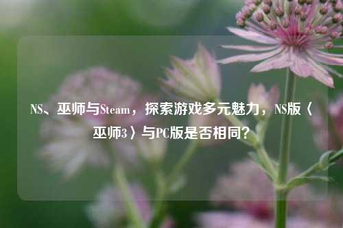 NS、巫师与Steam,探索游戏多元魅力,NS版〈巫师3〉与PC版是否相同?