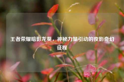 王者荣耀暗影龙葵,神秘力量引动的夜影奇幻征程