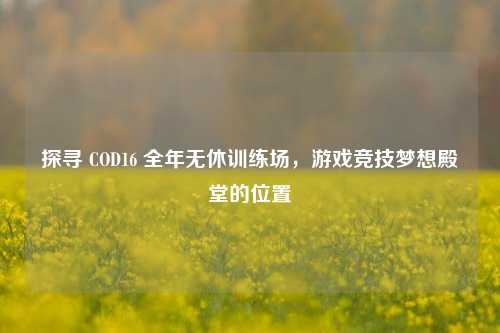 探寻 COD16 全年无休训练场,游戏竞技梦想殿堂的位置
