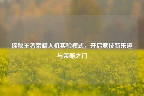 探秘王者荣耀人机实验模式,开启竞技新乐趣与策略之门
