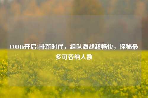 COD16开启4排新时代,组队激战超畅快,探秘最多可容纳人数