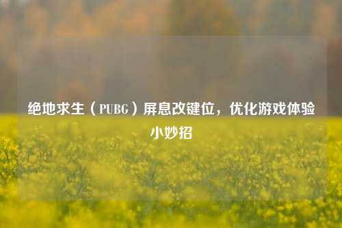 绝地求生(PUBG)屏息改键位,优化游戏体验小妙招