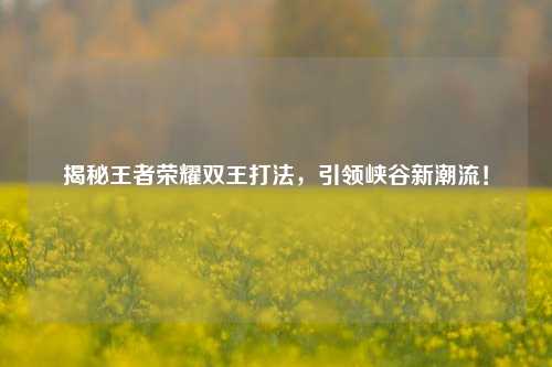 揭秘王者荣耀双王打法,引领峡谷新潮流!