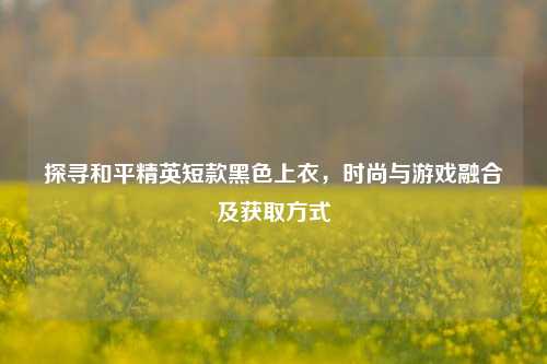 探寻和平精英短款黑色上衣，时尚与游戏融合及获取方式