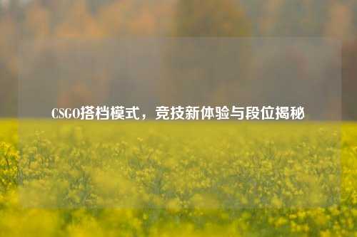 CSGO搭档模式,竞技新体验与段位揭秘