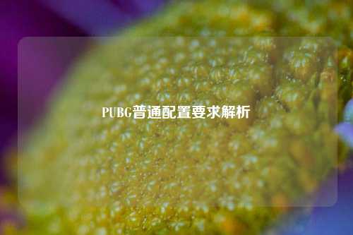 PUBG普通配置要求解析