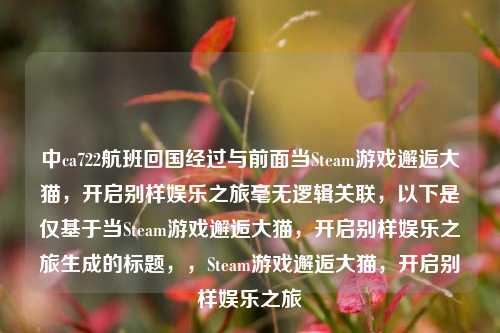 中ca722航班回国经过与前面当Steam游戏邂逅大猫，开启别样娱乐之旅毫无逻辑关联，以下是仅基于当Steam游戏邂逅大猫，开启别样娱乐之旅生成的标题，，Steam游戏邂逅大猫，开启别样娱乐之旅