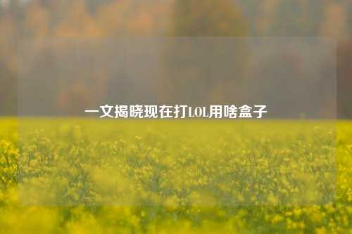 一文揭晓现在打LOL用啥盒子