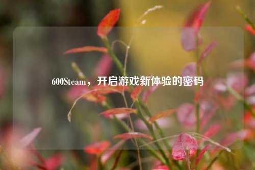 600Steam，开启游戏新体验的密码