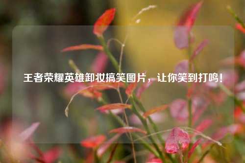 王者荣耀英雄卸妆搞笑图片,让你笑到打鸣!