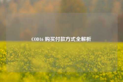 COD16 购买付款方式全解析